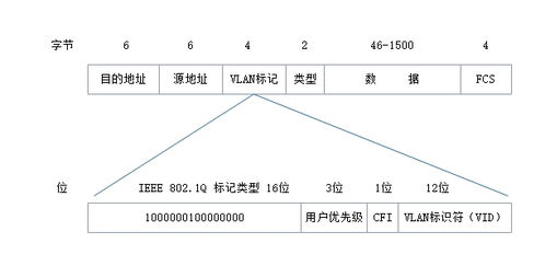 局域網(wǎng)技術 網(wǎng)絡互聯(lián)的基石