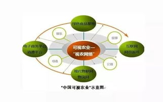 會呼吸的可視田 探秘互聯(lián)網(wǎng)賦能的生態(tài)農(nóng)業(yè)新價值鏈